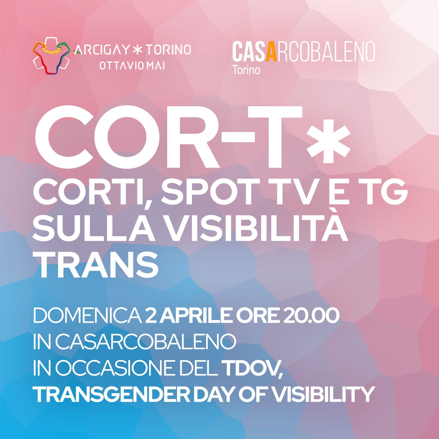 Elementi di visibilità trans*